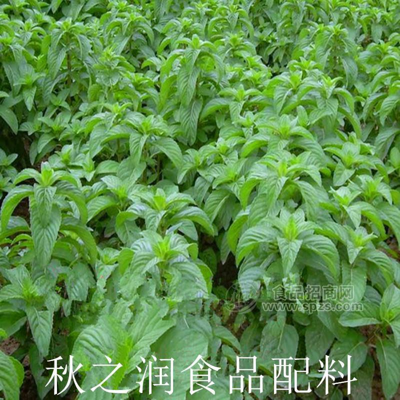 秋之潤(rùn)長(zhǎng)期供應(yīng)食品級(jí)薄荷油