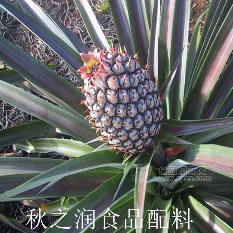 秋之润长期供应食品级酶制剂菠萝蛋白酶