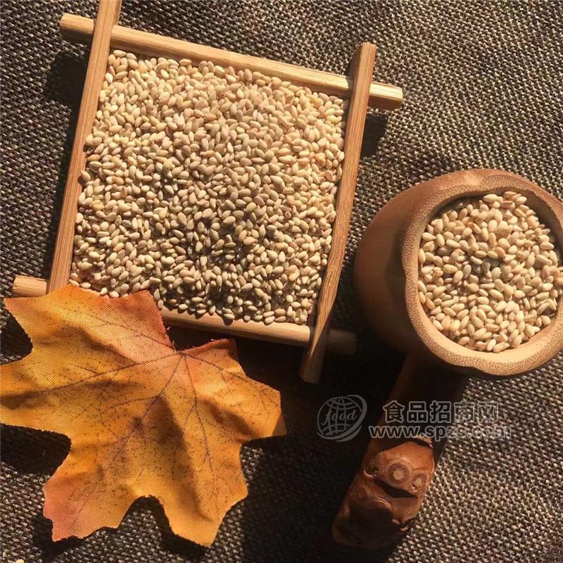 批量采购优质白芝麻 鞍山白芝麻 优选三英芝麻皇