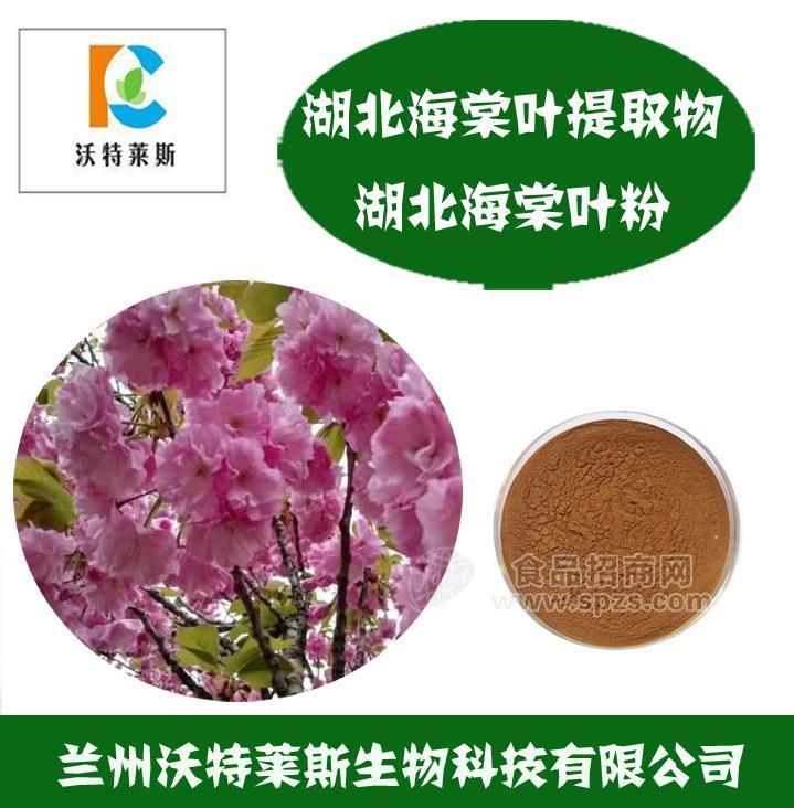 湖北海棠叶多肽 湖北海棠叶提取物 茶海棠叶浓缩液 湖北海棠叶浸