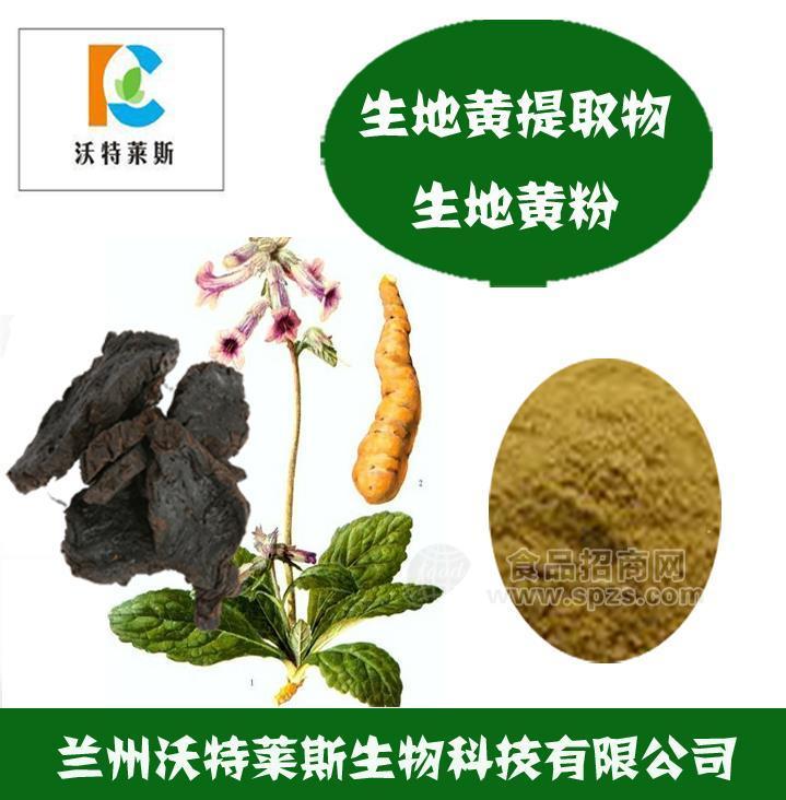 生地黄多肽 生地黄粉 生地黄提取物  生地黄提取液 生地黄浸膏