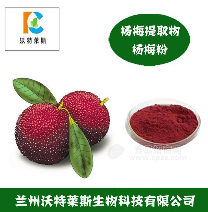 杨梅粉 杨梅速溶粉 杨梅酵素粉 杨梅多肽 杨梅汁粉 杨梅果粉