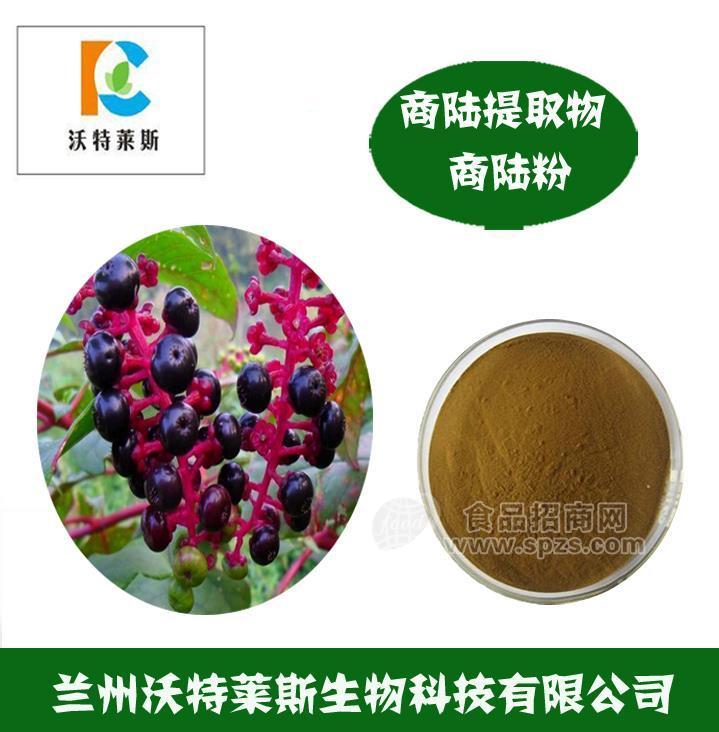 商陆提取物 金七娘提取物 商陆多肽 商陆浸膏 商陆浓缩液