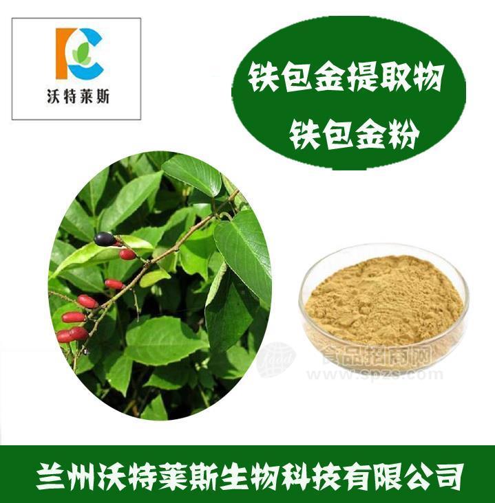 铁包金提取物 铁包金浸膏 铁包金提取液 铁包金粉肽粉 铁包金浓缩粉