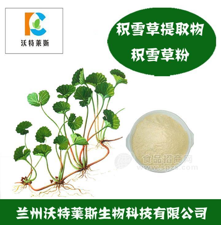 积雪草提取物 积雪草多肽 积雪草提取液 积雪草浸膏? 积雪草原粉
