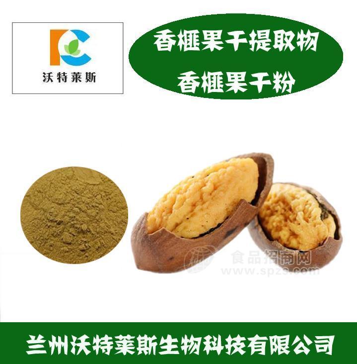 香榧果干提取物 10:1 20:1 蘭州沃特萊斯生物廠家現(xiàn)貨包郵