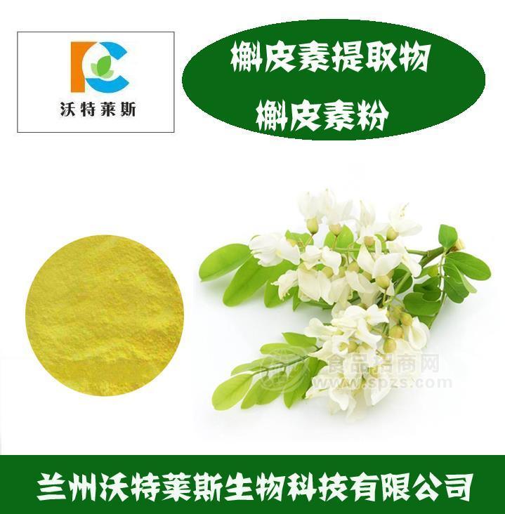 槲皮素98% 槐花提取物 蘭州沃特萊斯生物廠家現(xiàn)貨包郵