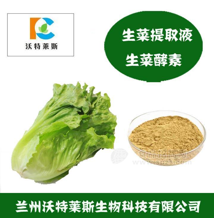 生菜粉 生菜提取物 生菜浸膏 生菜提取液 生菜多肽 生菜黄