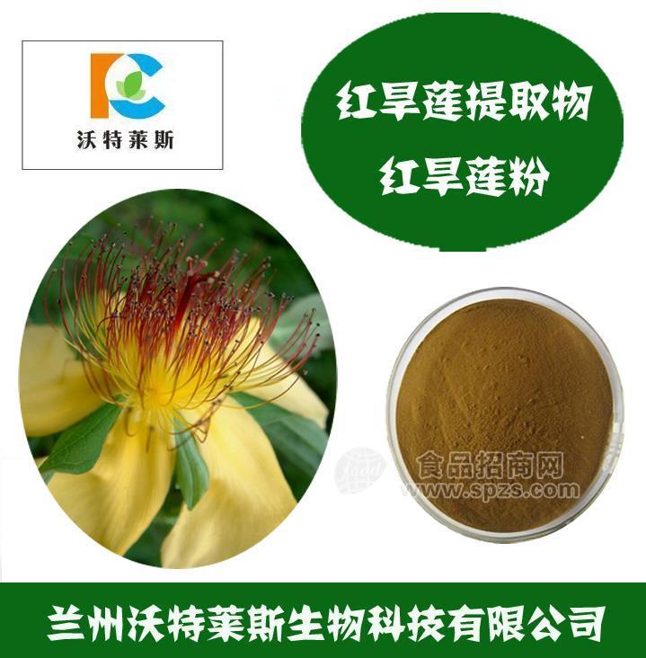 旱莲提取物 红旱莲粉 红旱莲浸膏 红旱莲提取液 红旱莲多肽
