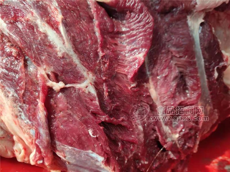 供应德州黑驴现宰鲜驴肉生驴肉