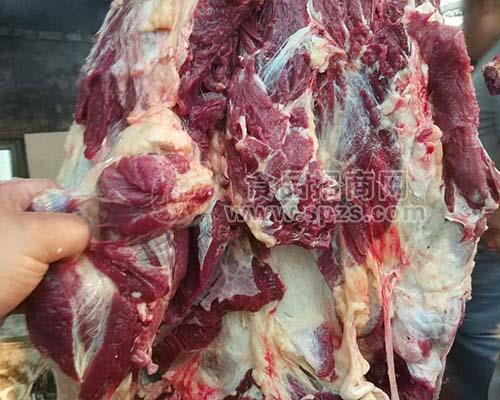 供應蒙古草原放養(yǎng)活馬現(xiàn)場宰殺鮮馬肉生馬肉