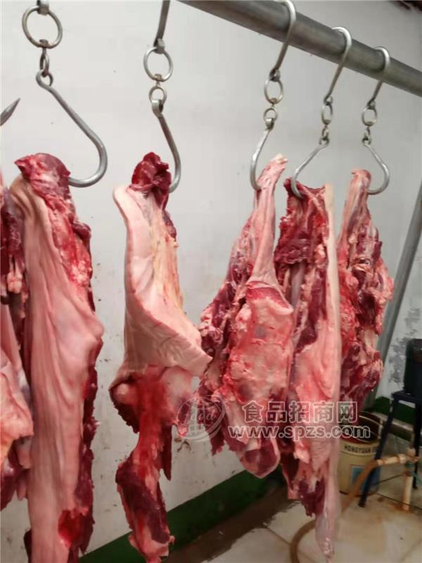 批发供应草料喂养活驴现杀新鲜驴肉带皮驴肉