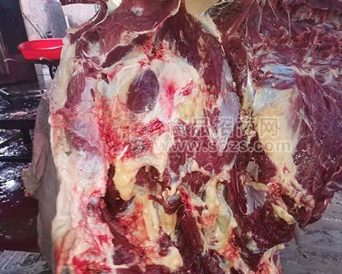 厂家直销进口蒙古马肉草原新鲜现杀剔骨马肉有机绿色马肉