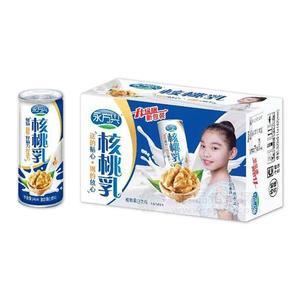 永方兴罐装核桃乳16支