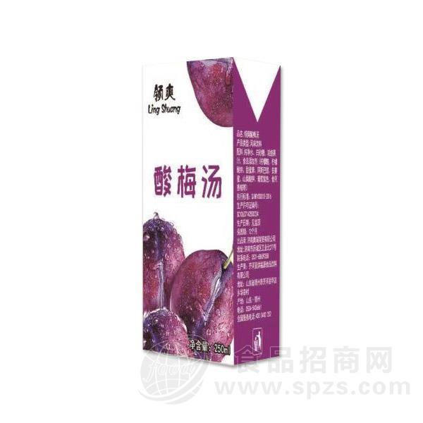 领爽酸梅汤果汁饮料250ml