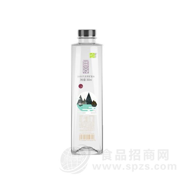 ·画景小分子天然矿泉水360ml 
