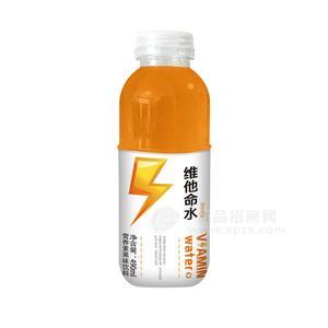 维他命水 营养素果味饮料490ml