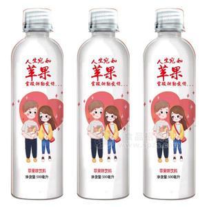 蘋果味飲料果味飲料500ml