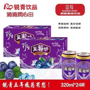 銳青飲品藍(lán)莓味 碳酸果味飲品320mlx24瓶