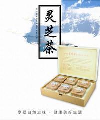H-01灵博士灵芝茶