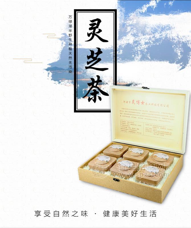 H-01灵博士灵芝茶