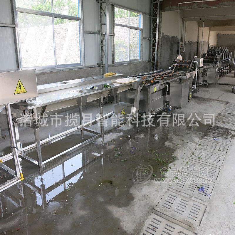 蔬菜清洗设备不锈钢清洗机 高压喷淋清洗机生产厂家