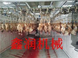 毛鸡宰杀流水线信誉好的厂家