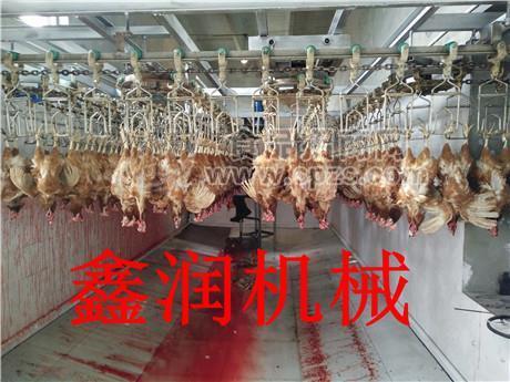 毛鸡宰杀流水线信誉好的厂家