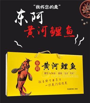 东阿 黄河鲤鱼 鱼制品招商