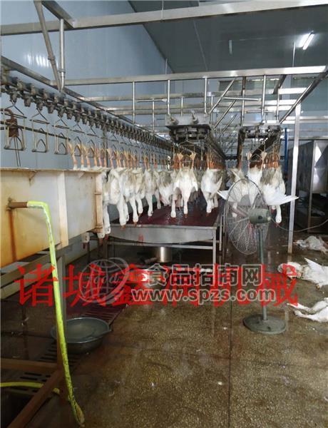 大鹅宰杀流水线制造诸城新润机械