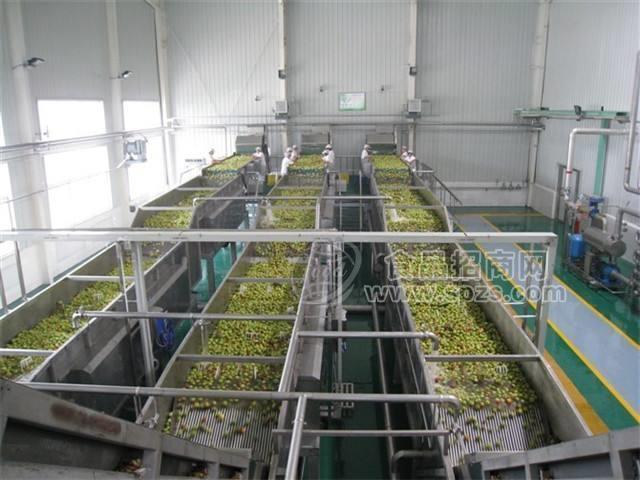 全自动苹果汁饮料生产线设备