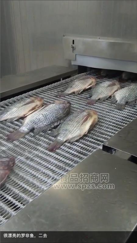 罗非鱼/松鼠鲷鱼