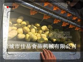 諸城佳品毛輥清洗機(jī) 椰子殼清洗機(jī)，胡蘿卜清洗機(jī)，1500型毛刷去皮機(jī) 蔬菜去皮機(jī)價(jià)格