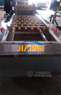 小型氣泡清洗機(jī) 多功能水果清洗機(jī) 凍干蔬菜清洗機(jī) ，西藍(lán)花清洗機(jī)，諸城清洗機(jī)廠家，濰坊洗菜機(jī)