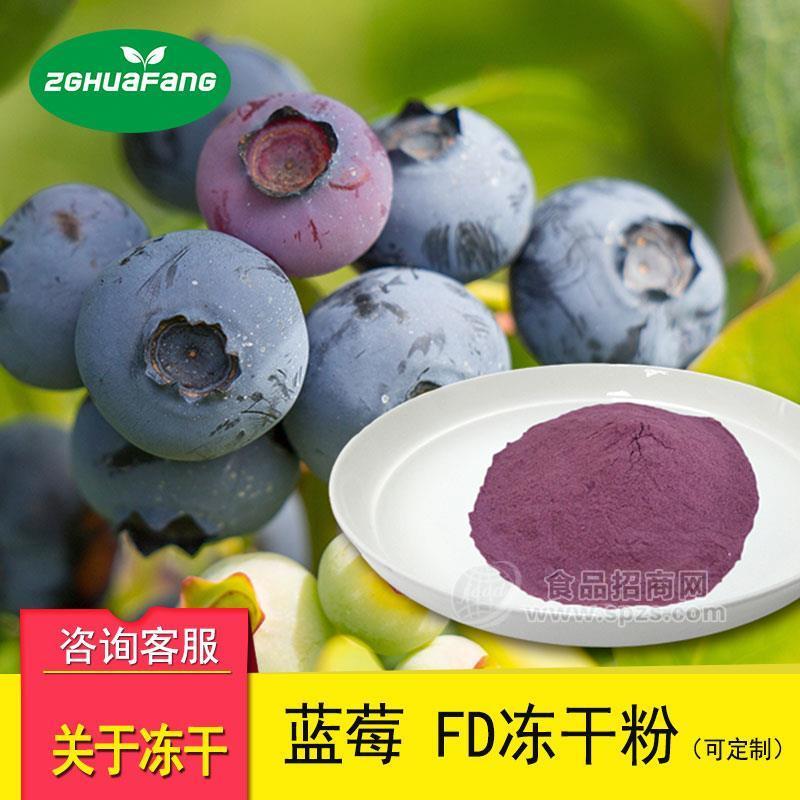 藍(lán)莓凍干粉 果蔬粉食品原料 凍干藍(lán)莓粉廠家