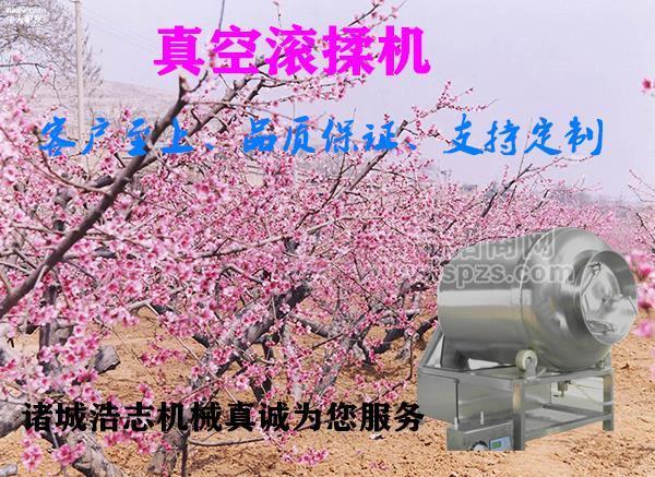 全自动真空滚揉机 肉类腌制机 肉类入味嫩化滚揉机