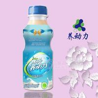 養(yǎng)動(dòng)力乳酸菌飲品