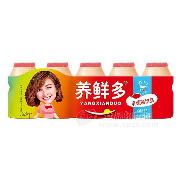 養(yǎng)鮮多乳酸菌飲品100ml