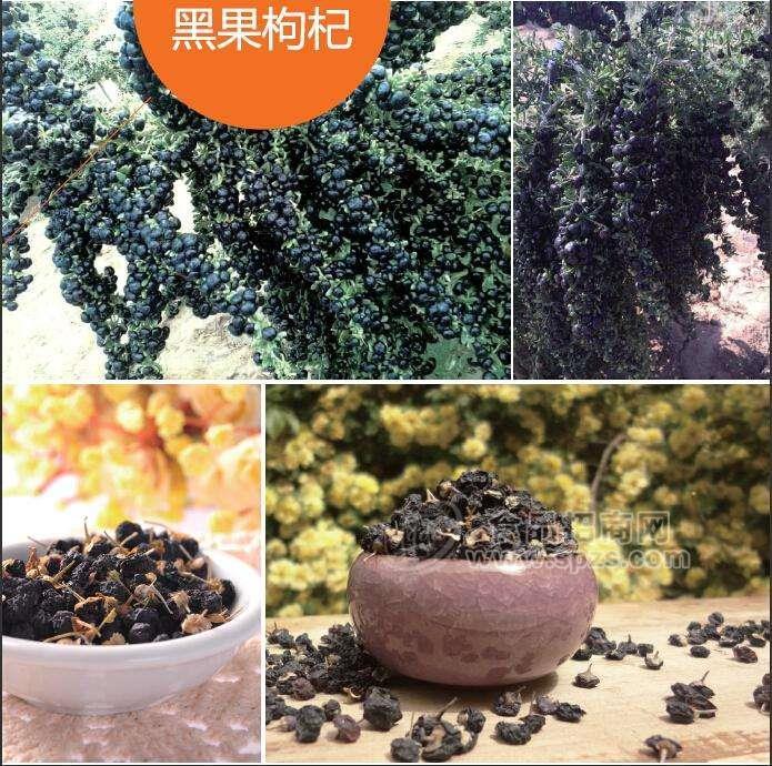 黑枸杞提取物10:1多种规格厂家包邮