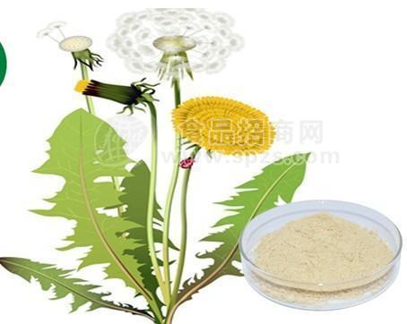 蒲公英酵素蒲公英酵素粉宁夏凯源生物1公斤起订 长期供应