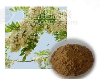 供应 洋槐酵素   洋槐酵素粉 1公斤起订 洋槐提取物