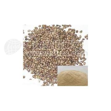 火麻仁提取物10:1各种规格厂家包邮