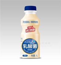 蓝嘉源 原味乳酸菌饮料1L