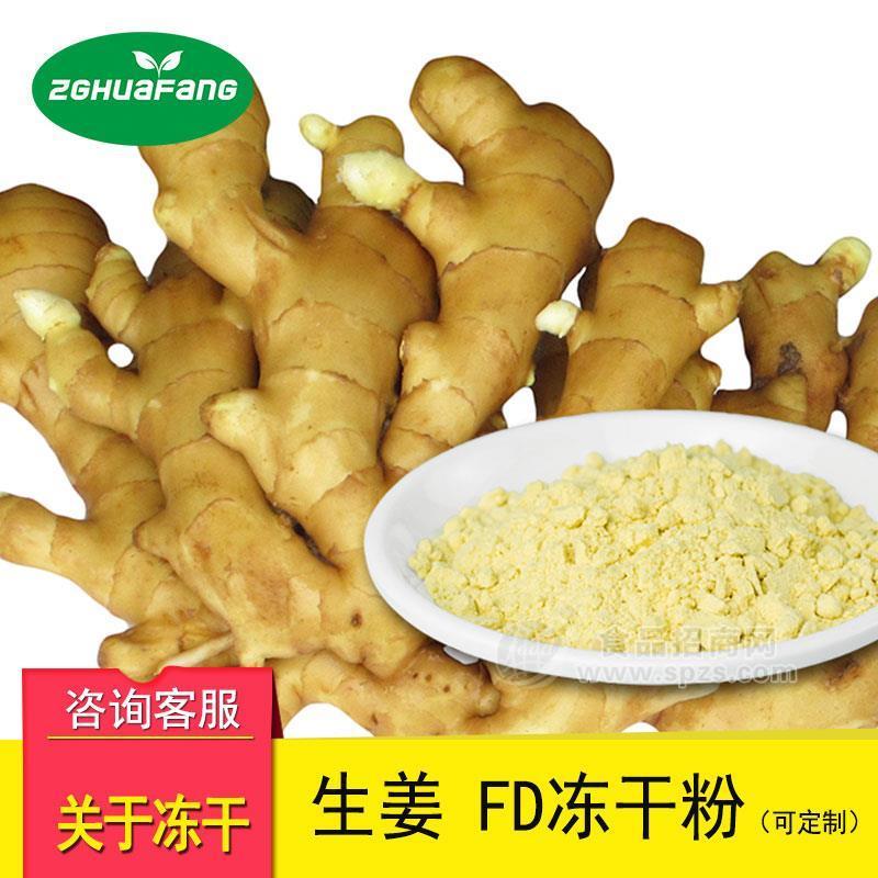 FD凍干生姜粉 凍干果蔬粉生姜調(diào)味粉蔬菜粉凍干食品原料批發(fā)