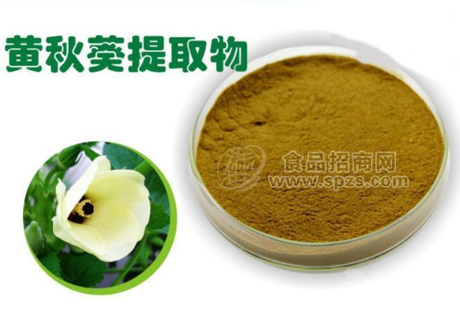 供应黄秋葵粉   黄秋葵提取物 10:1 UV检测 1公斤起订秋葵粉