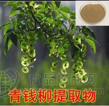 青钱柳提取物10:1多种规格1公斤起订