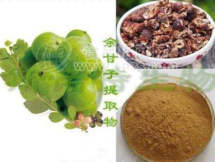 热销余甘子提取物10:1多种规格1公斤起订