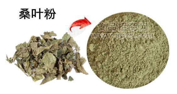 热销桑叶提取物10:1多种规格1公斤起订厂家包邮