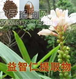 热销益智仁提取物10:1多种规格1公斤起订厂家包邮