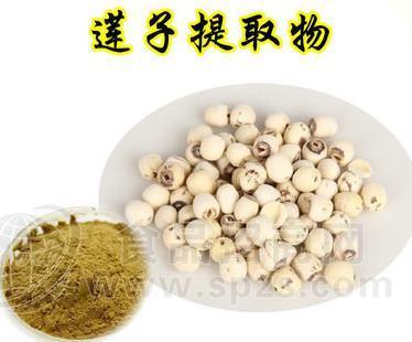 热销莲子提取物10:1多种规格1公斤起订